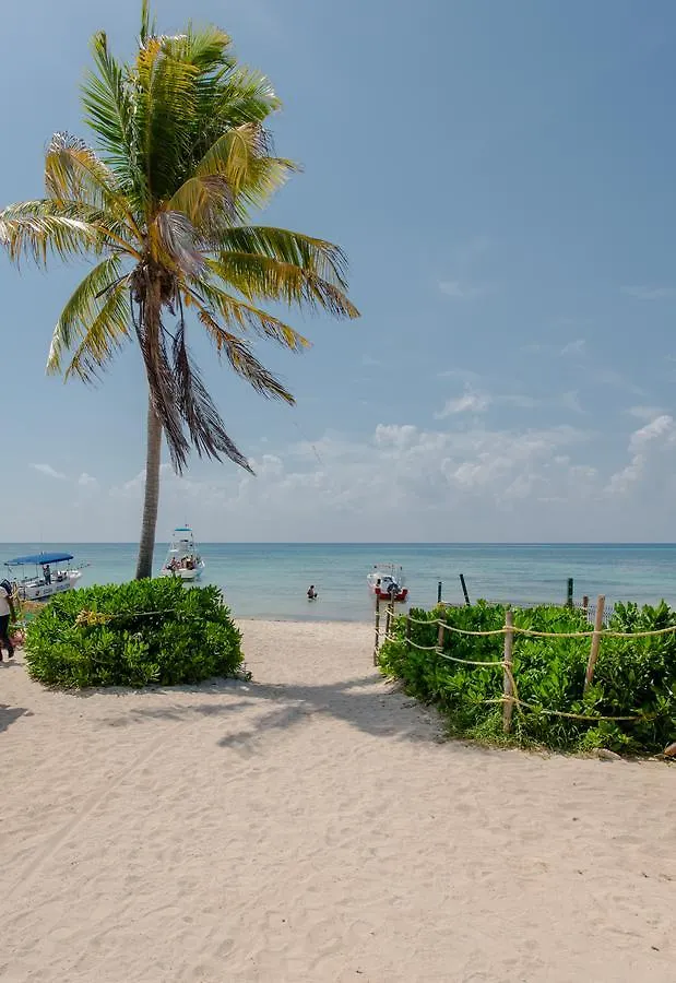 Hacienda Carmen By Chezplaya Apartment Playa del Carmen 0*,